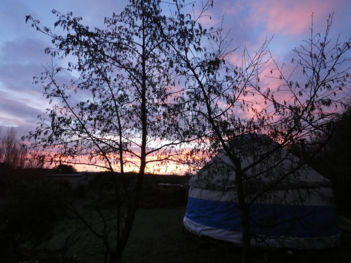 Inch Hideaway Eco Camping Whitegate  Exterior photo