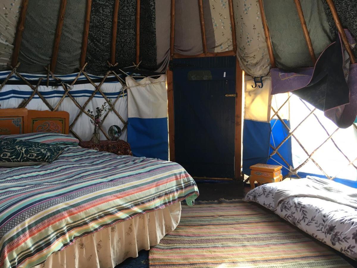 Inch Hideaway Eco Camping Whitegate  Exterior photo