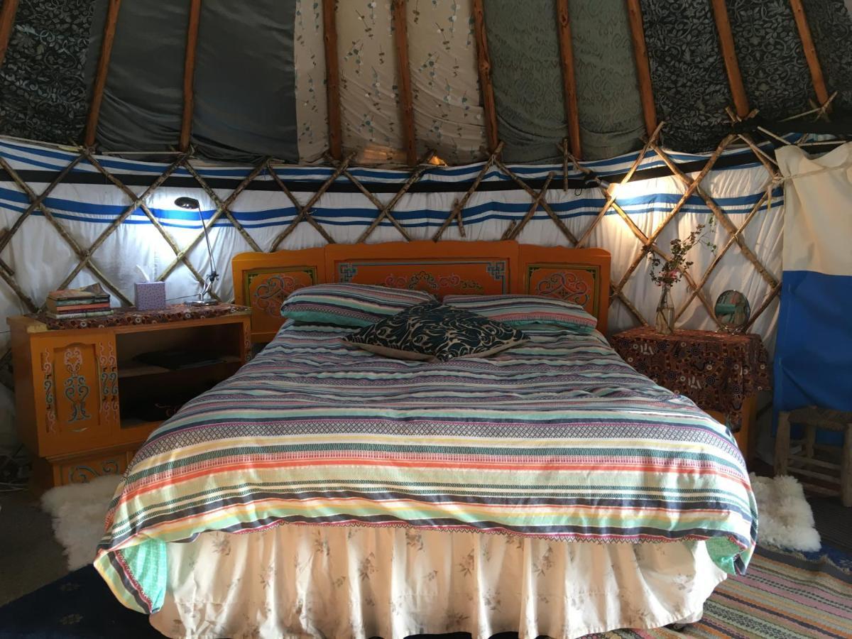 Inch Hideaway Eco Camping Whitegate  Exterior photo