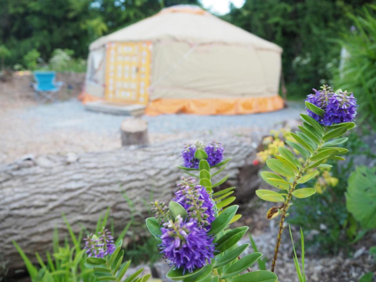 Inch Hideaway Eco Camping Whitegate  Exterior photo